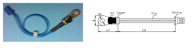 SG胜游(亚洲游)官方网站